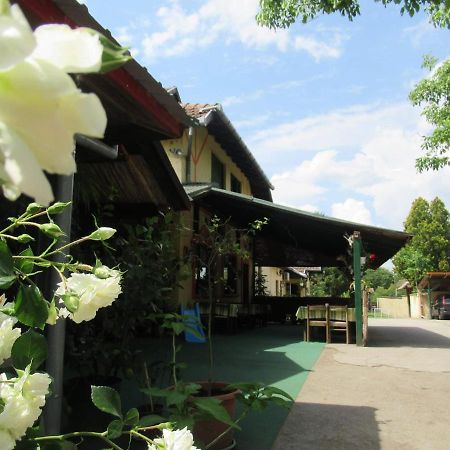 帕利克 Fogado酒店 外观 照片